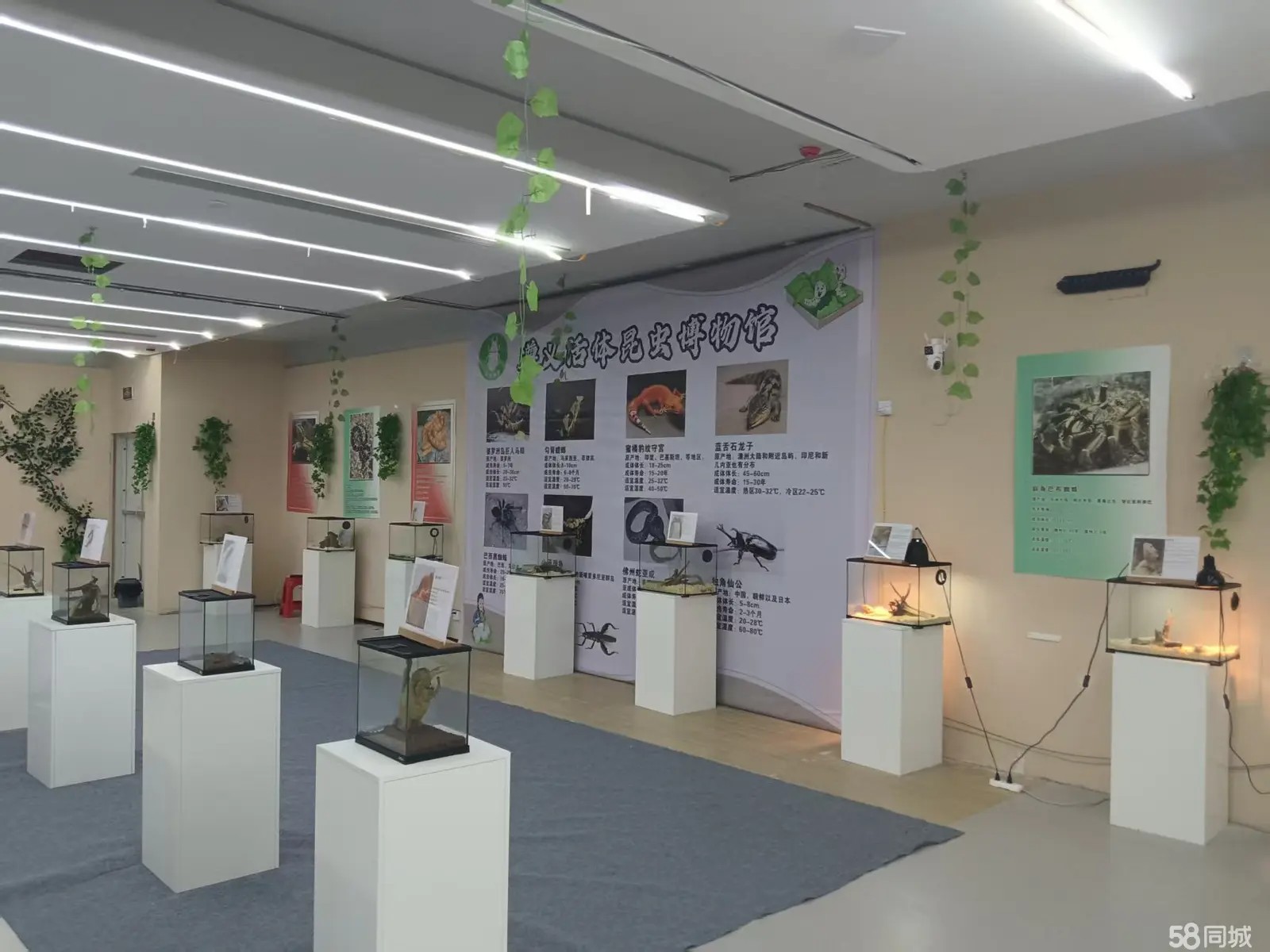 （转让）整体打包，店铺可以在任何一个地方经营